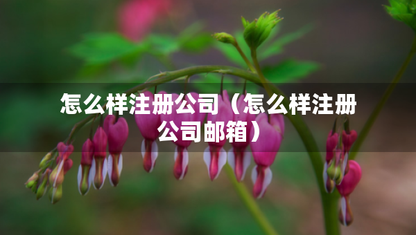 怎么樣注冊(cè)公司（怎么樣注冊(cè)公司郵箱）