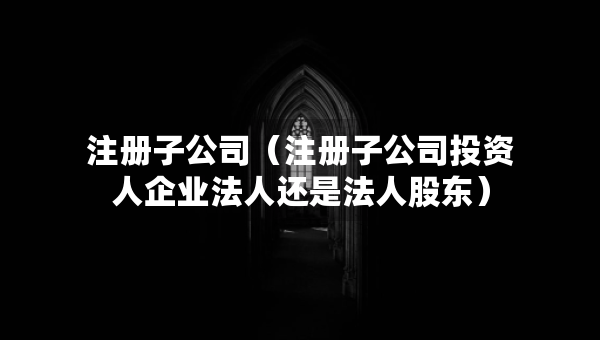 注冊(cè)子公司（注冊(cè)子公司投資人企業(yè)法人還是法人股東）