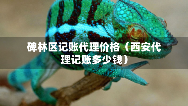 碑林區(qū)記賬代理價(jià)格（西安代理記賬多少錢）