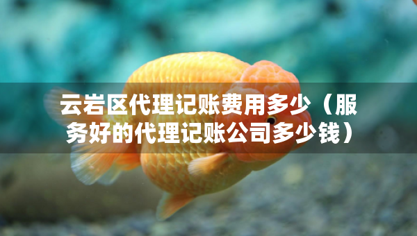 云巖區(qū)代理記賬費用多少（服務(wù)好的代理記賬公司多少錢）