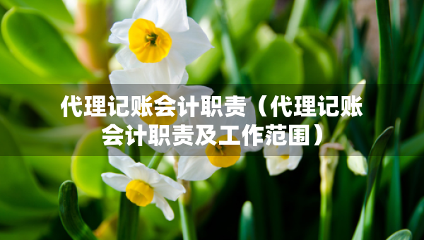 代理記賬會計職責（代理記賬會計職責及工作范圍）