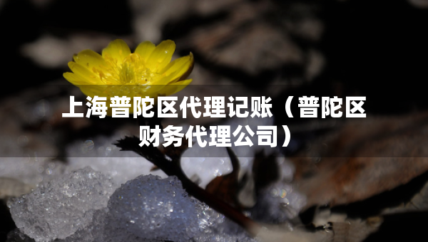 上海普陀區(qū)代理記賬（普陀區(qū)財務(wù)代理公司）