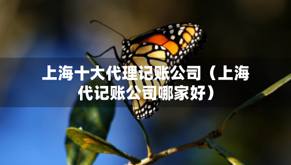 上海十大代理記賬公司（上海代記賬公司哪家好）