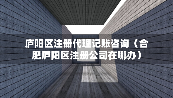 廬陽(yáng)區(qū)注冊(cè)代理記賬咨詢（合肥廬陽(yáng)區(qū)注冊(cè)公司在哪辦）