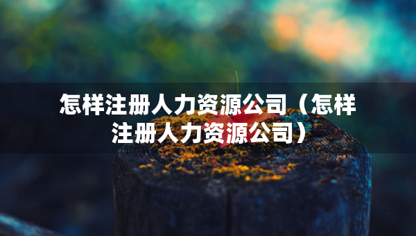 怎樣注冊人力資源公司（怎樣注冊人力資源公司）