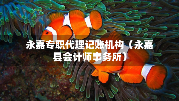 永嘉專職代理記賬機構(gòu)（永嘉縣會計師事務(wù)所）
