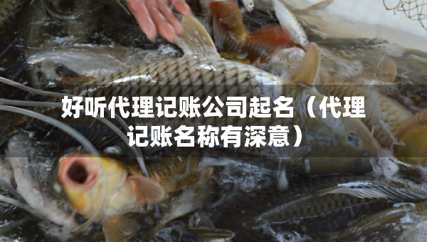 好聽代理記賬公司起名（代理記賬名稱有深意）