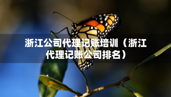 浙江公司代理記賬培訓（浙江代理記賬公司排名）