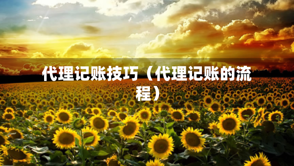 代理記賬技巧（代理記賬的流程）
