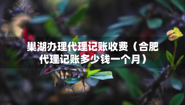 巢湖辦理代理記賬收費（合肥代理記賬多少錢一個月）