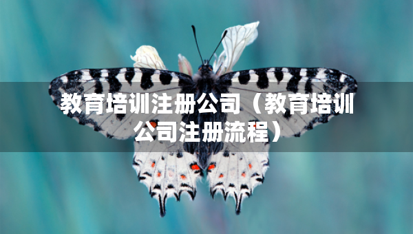 教育培訓注冊公司（教育培訓公司注冊流程）
