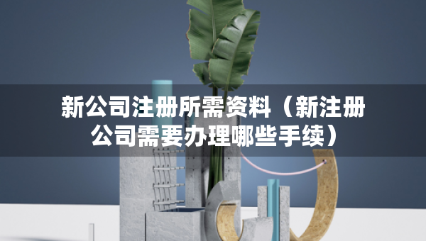 新公司注冊(cè)所需資料（新注冊(cè)公司需要辦理哪些手續(xù)）