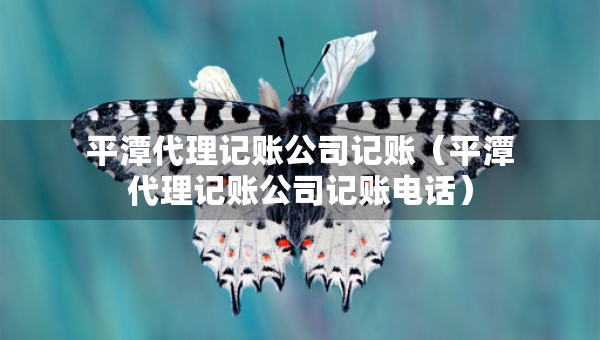 平潭代理記賬公司記賬（平潭代理記賬公司記賬電話(huà)）