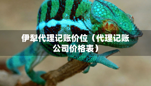 伊犁代理記賬價(jià)位（代理記賬公司價(jià)格表）