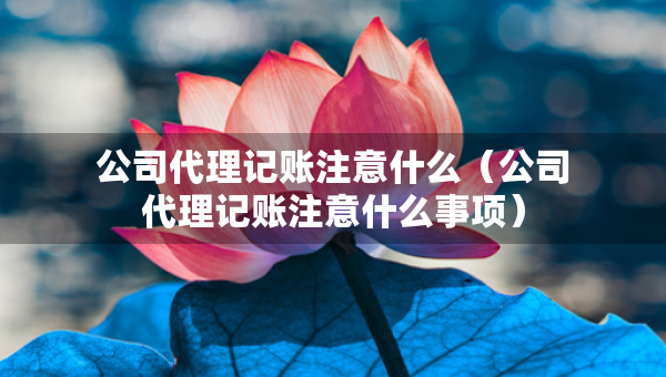 公司代理記賬注意什么（公司代理記賬注意什么事項）