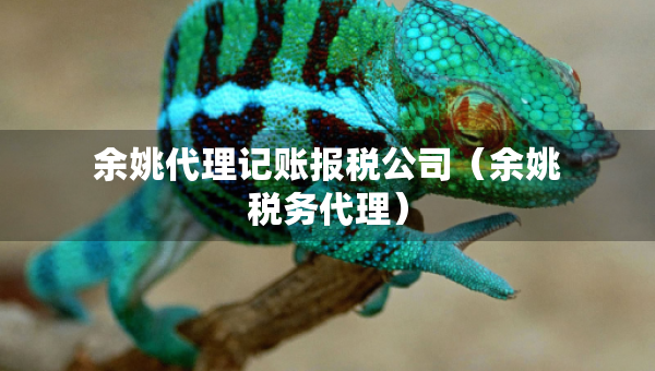 余姚代理記賬報稅公司（余姚稅務(wù)代理）