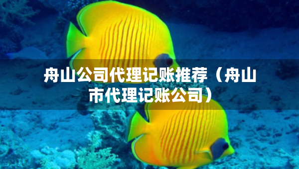 舟山公司代理記賬推薦（舟山市代理記賬公司）