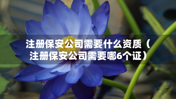 注冊保安公司需要什么資質(zhì)（注冊保安公司需要哪6個(gè)證）