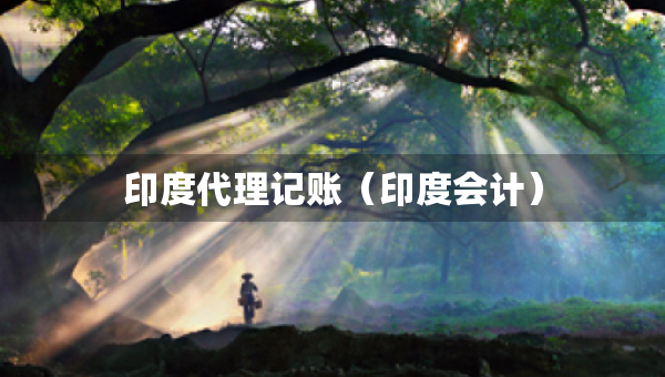 印度代理記賬（印度會計）