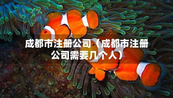 成都市注冊公司（成都市注冊公司需要幾個人）