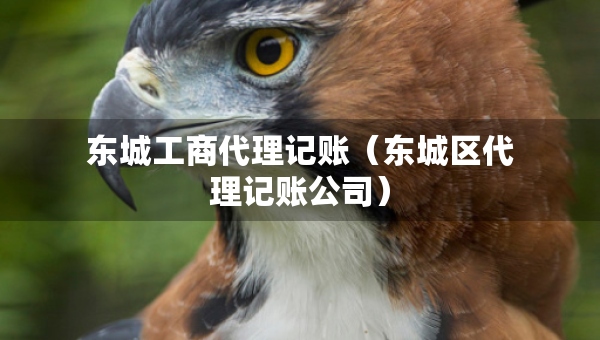 東城工商代理記賬（東城區(qū)代理記賬公司）