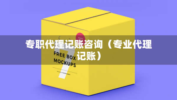 專職代理記賬咨詢（專業(yè)代理記賬）