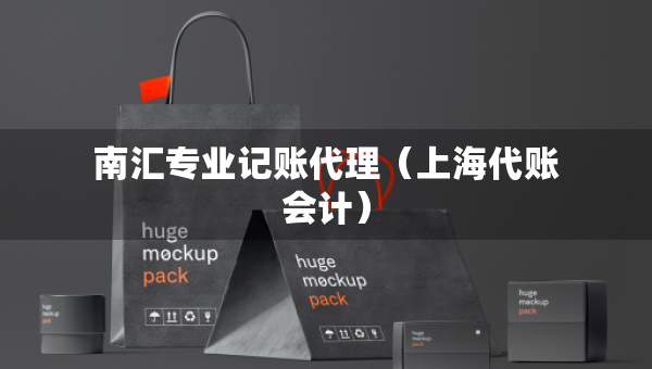 南匯專業(yè)記賬代理（上海代賬會(huì)計(jì)）