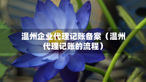 溫州企業(yè)代理記賬備案（溫州代理記賬的流程）