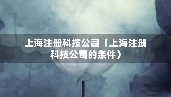 上海注冊(cè)科技公司（上海注冊(cè)科技公司的條件）