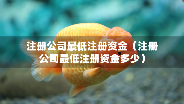 注冊公司最低注冊資金（注冊公司最低注冊資金多少）