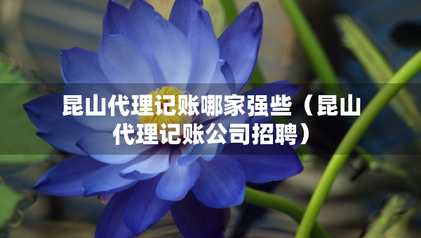 昆山代理記賬哪家強些（昆山代理記賬公司招聘）