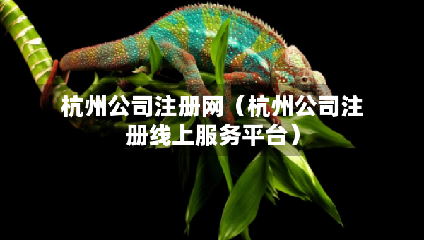 杭州公司注冊網(wǎng)（杭州公司注冊線上服務(wù)平臺）
