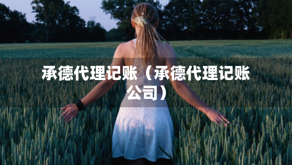 承德代理記賬（承德代理記賬公司）