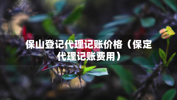 保山登記代理記賬價(jià)格（保定代理記賬費(fèi)用）