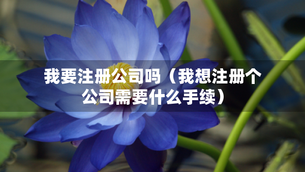 我要注冊公司嗎（我想注冊個公司需要什么手續(xù)）