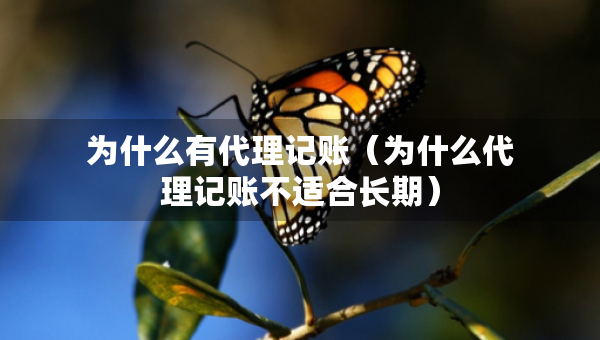 為什么有代理記賬（為什么代理記賬不適合長期）