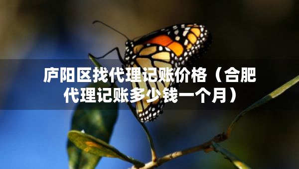 廬陽區(qū)找代理記賬價格（合肥代理記賬多少錢一個月）