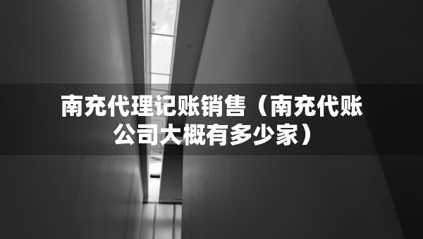 南充代理記賬銷售（南充代賬公司大概有多少家）