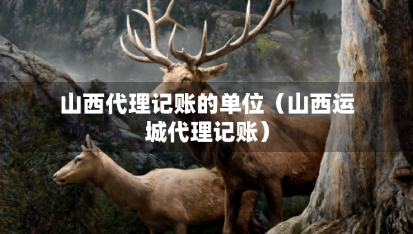 山西代理記賬的單位（山西運城代理記賬）