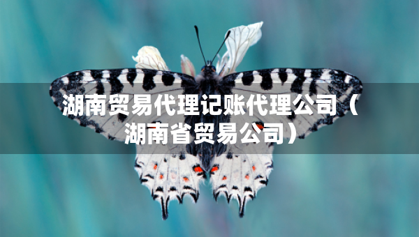 湖南貿(mào)易代理記賬代理公司（湖南省貿(mào)易公司）