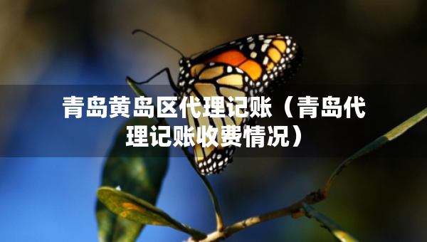 青島黃島區(qū)代理記賬（青島代理記賬收費(fèi)情況）