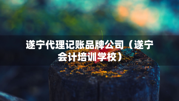 遂寧代理記賬品牌公司（遂寧會(huì)計(jì)培訓(xùn)學(xué)校）
