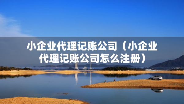 小企業(yè)代理記賬公司（小企業(yè)代理記賬公司怎么注冊）