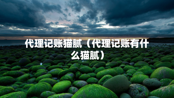 代理記賬貓膩（代理記賬有什么貓膩）