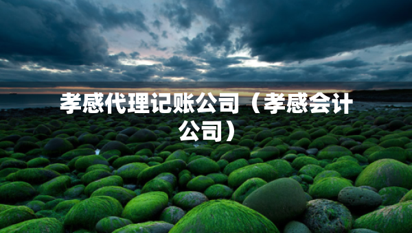孝感代理記賬公司（孝感會計(jì)公司）