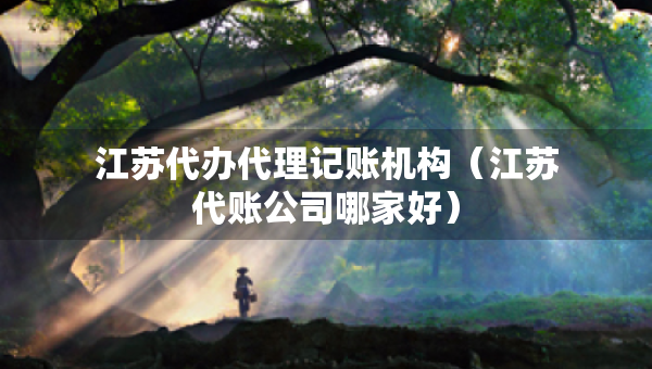 江蘇代辦代理記賬機(jī)構(gòu)（江蘇代賬公司哪家好）