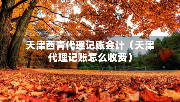 天津西青代理記賬會計(jì)（天津代理記賬怎么收費(fèi)）