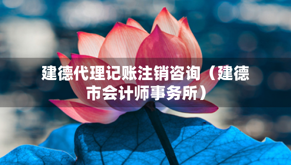 建德代理記賬注銷咨詢（建德市會計師事務所）