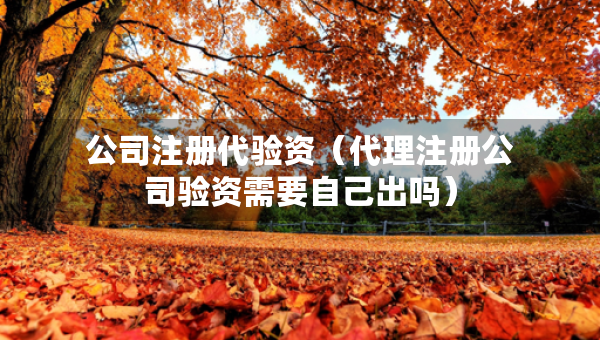 公司注冊(cè)代驗(yàn)資（代理注冊(cè)公司驗(yàn)資需要自己出嗎）