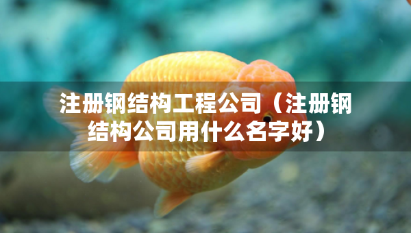 注冊鋼結(jié)構(gòu)工程公司（注冊鋼結(jié)構(gòu)公司用什么名字好）